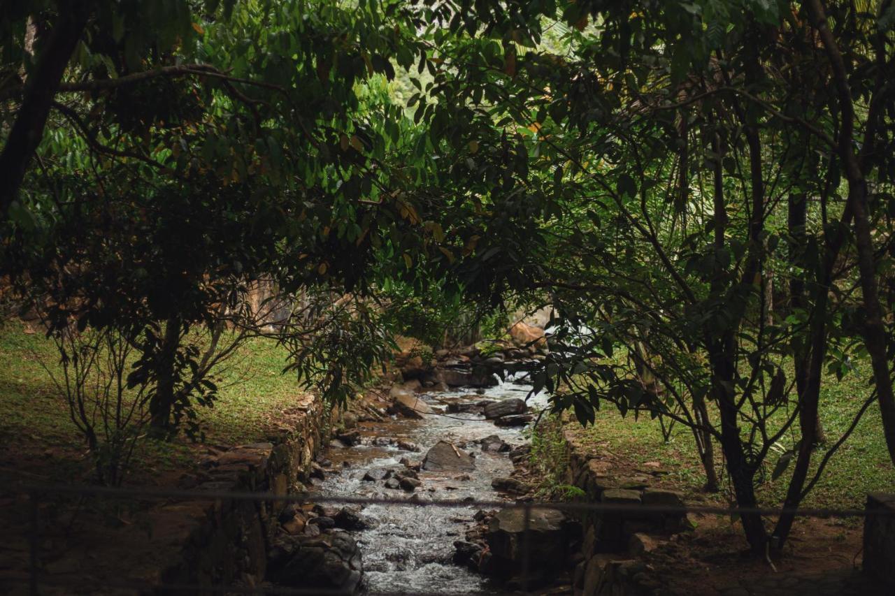 Sati Villa Kandy Sri Lanka Kültér fotó